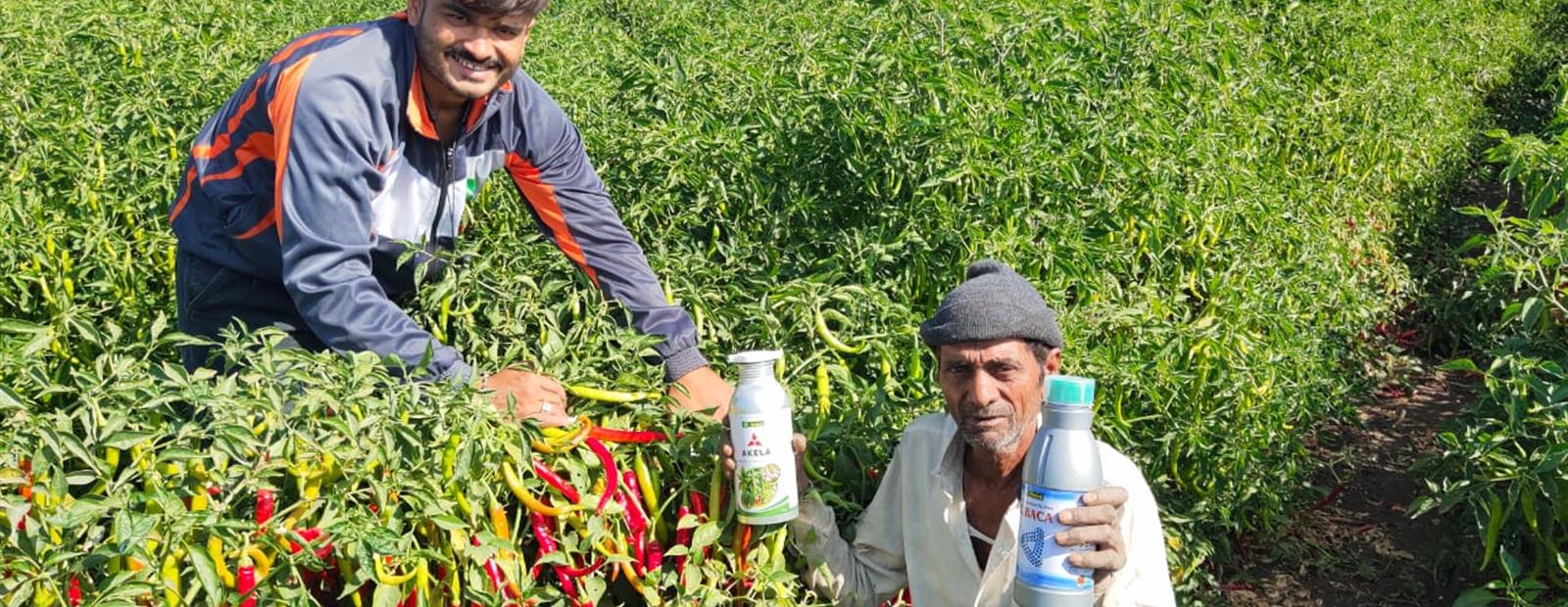 HAPPY FARMER