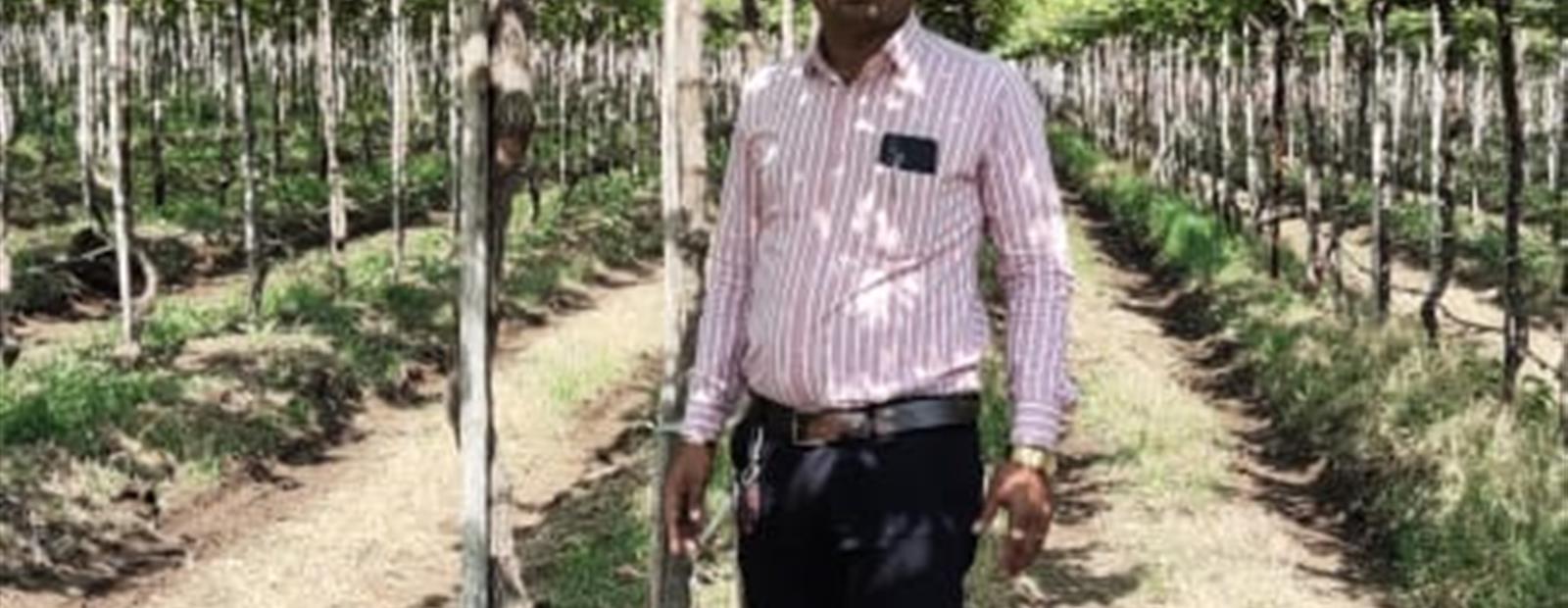 QUALITY GRAPES PRODUCTION THROUGH CIBACA