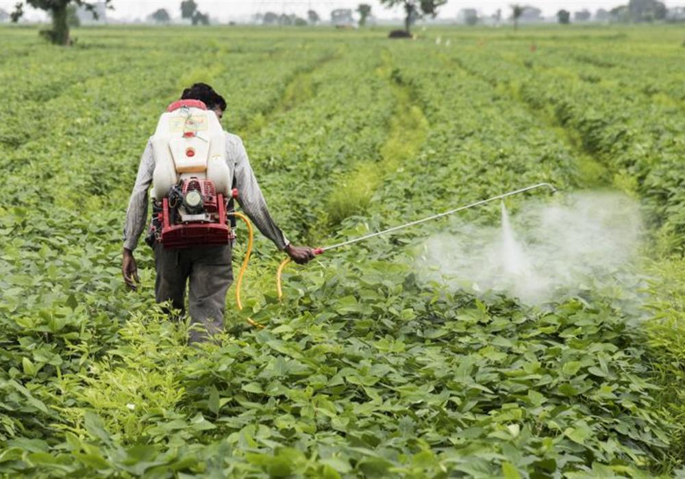 Agriculture Pesticides